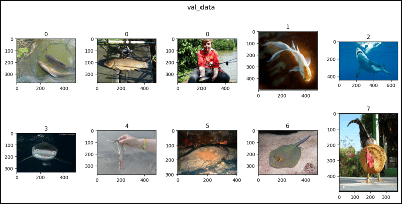 PyTorch 中的 ImageNet