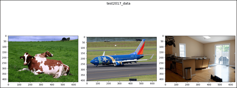 PyTorch 中的 CocoDetection（2）