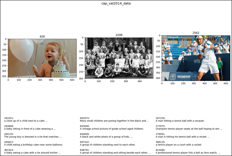 PyTorch 中的 CocoDetection (1)