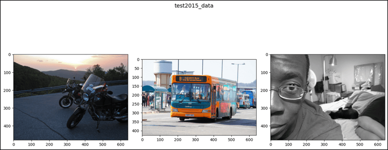 PyTorch 中的 CocoDetection (1)