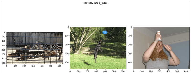 PyTorch 中的 CocoDetection (1)