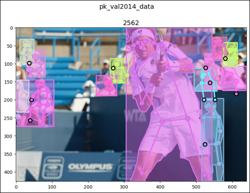 PyTorch 中的 CocoDetection (1)